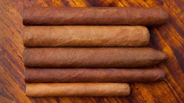 Different types of cigars