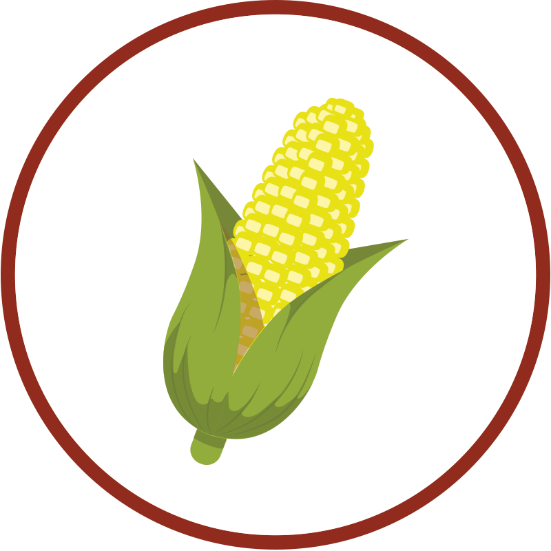 bourbon-ingredients-corn How To Make Bourbon Ingredients Corn